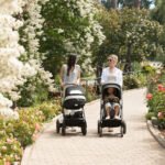 Nuna Mixx Next Stroller - Cedar